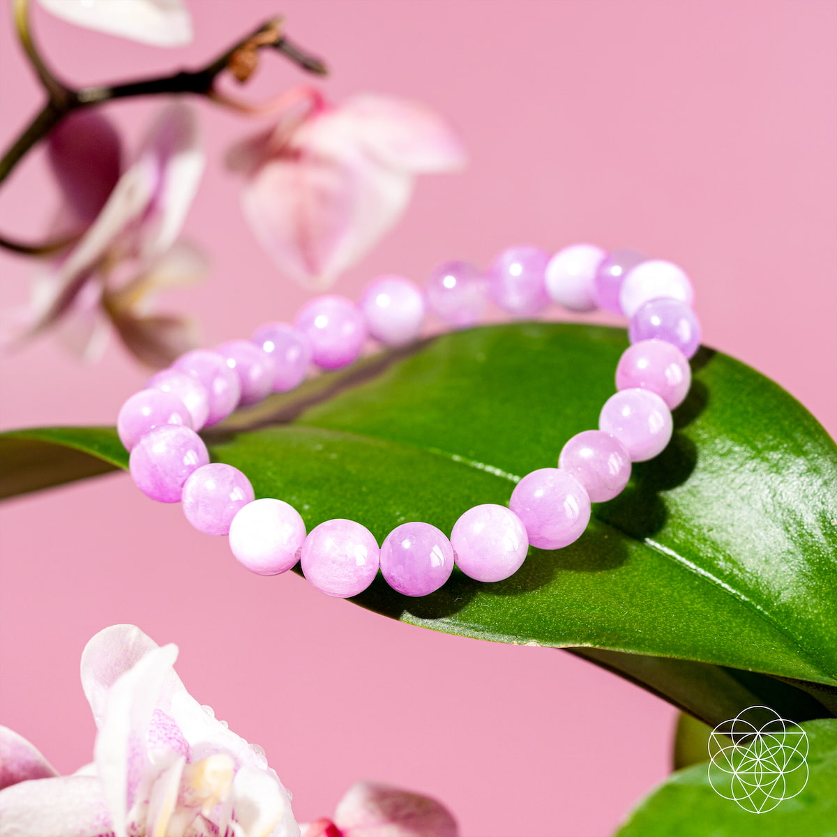 Pink Kunzite Crystal Bracelet | Haven